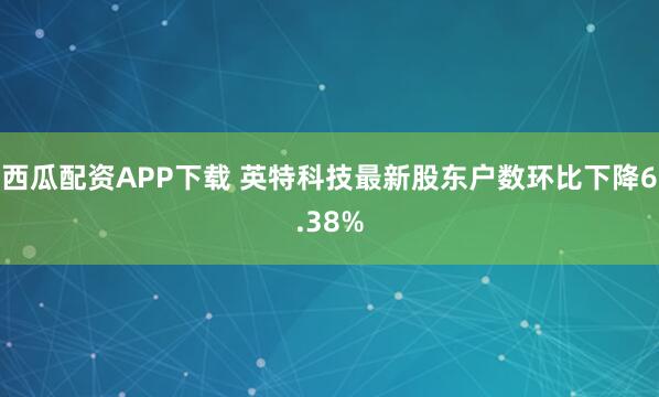 西瓜配资APP下载 英特科技最新股东户数环比下降6.38%