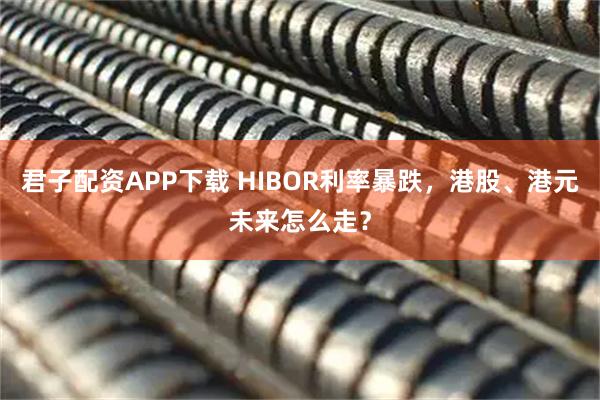 君子配资APP下载 HIBOR利率暴跌，港股、港元未来怎么走？