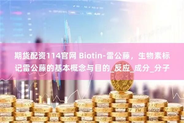 期货配资114官网 Biotin-雷公藤，生物素标记雷公藤的基本概念与目的_反应_成分_分子