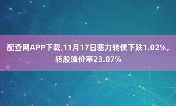 配查网APP下载 11月17日塞力转债下跌1.02%，转股溢价率23.07%