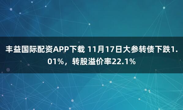 丰益国际配资APP下载 11月17日大参转债下跌1.01%，转股溢价率22.1%